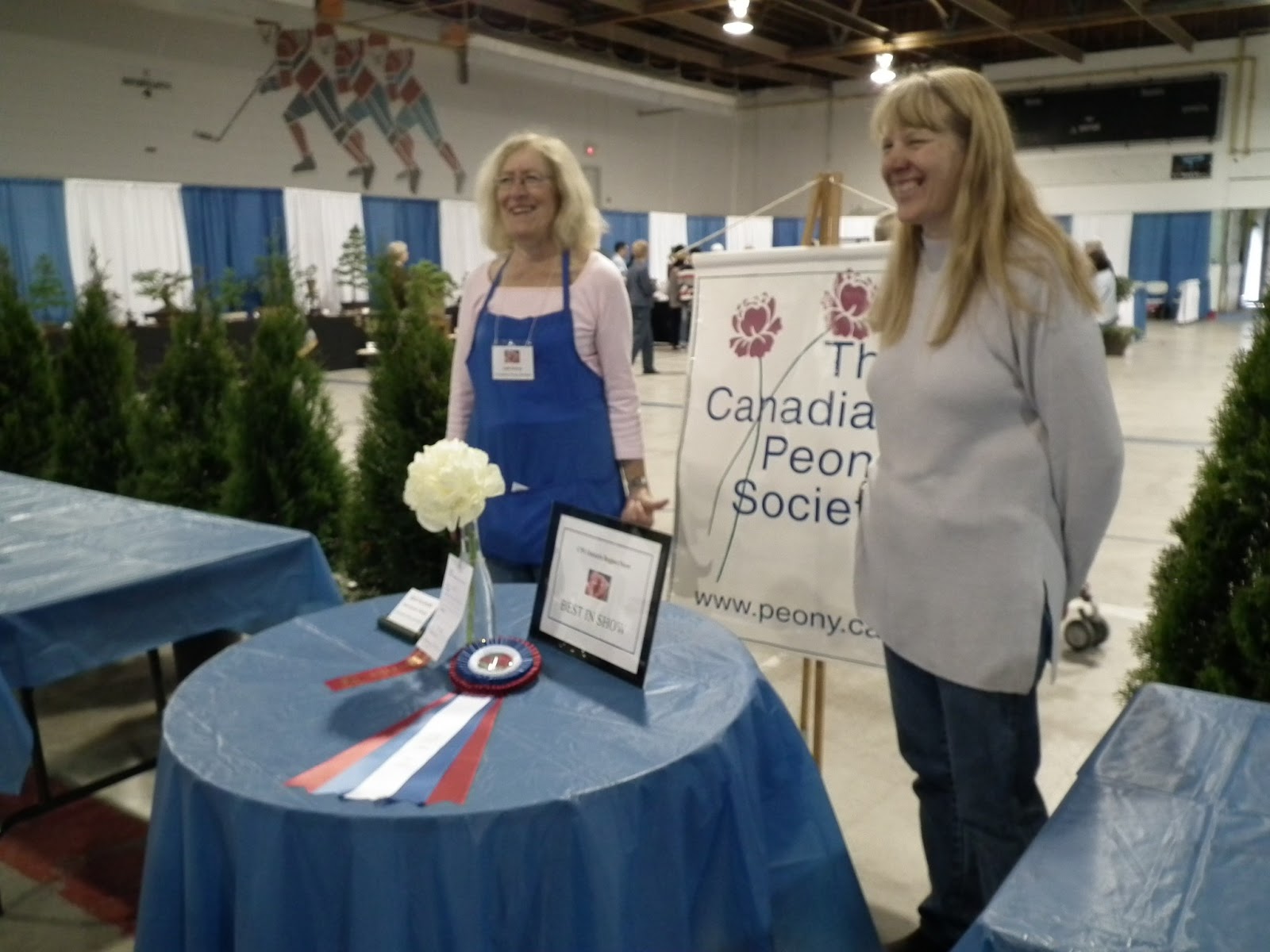 Peonies Oshawa Peony Festival
