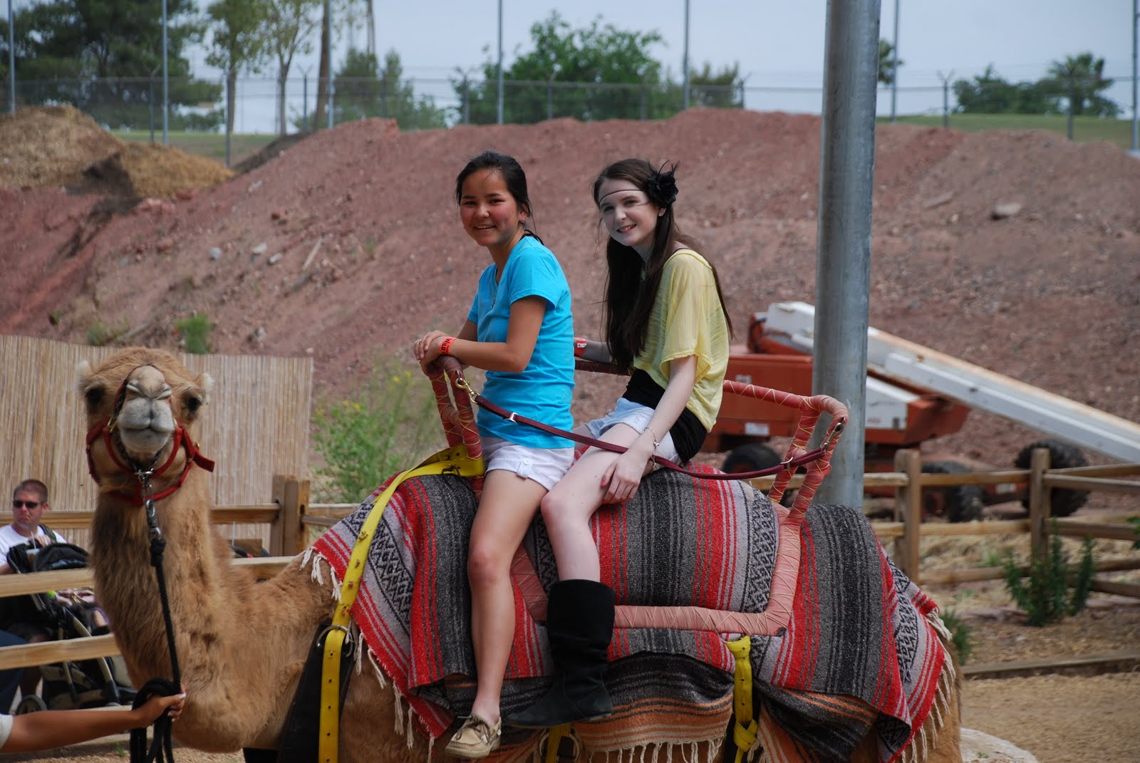 2 Little Bugs: Camel Riding Then and Now