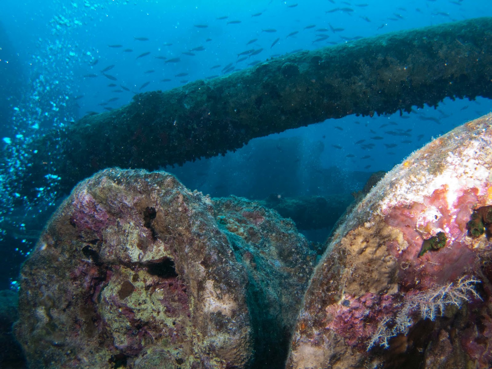 sous la mer AMBIANCE D' EPAVES, MER ROUGE