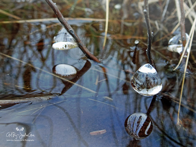 Frozen Droplet reflecting