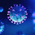 Δείτε πώς είναι στην πραγματικότητα ο κορωνοϊός - Η ακριβής απεικόνιση του ιού που απειλεί την ανθρωπότητα