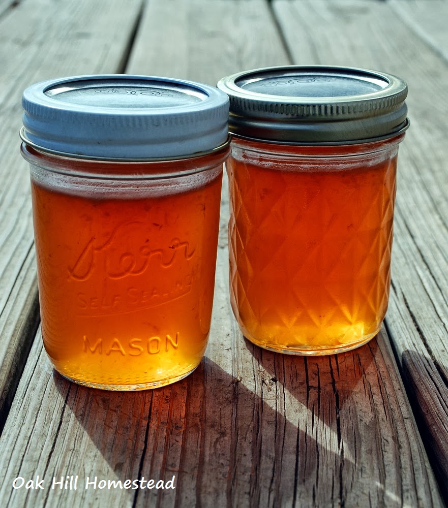 How to Make Harvest Apple Jelly (with no added pectin) Oak Hill Homestead