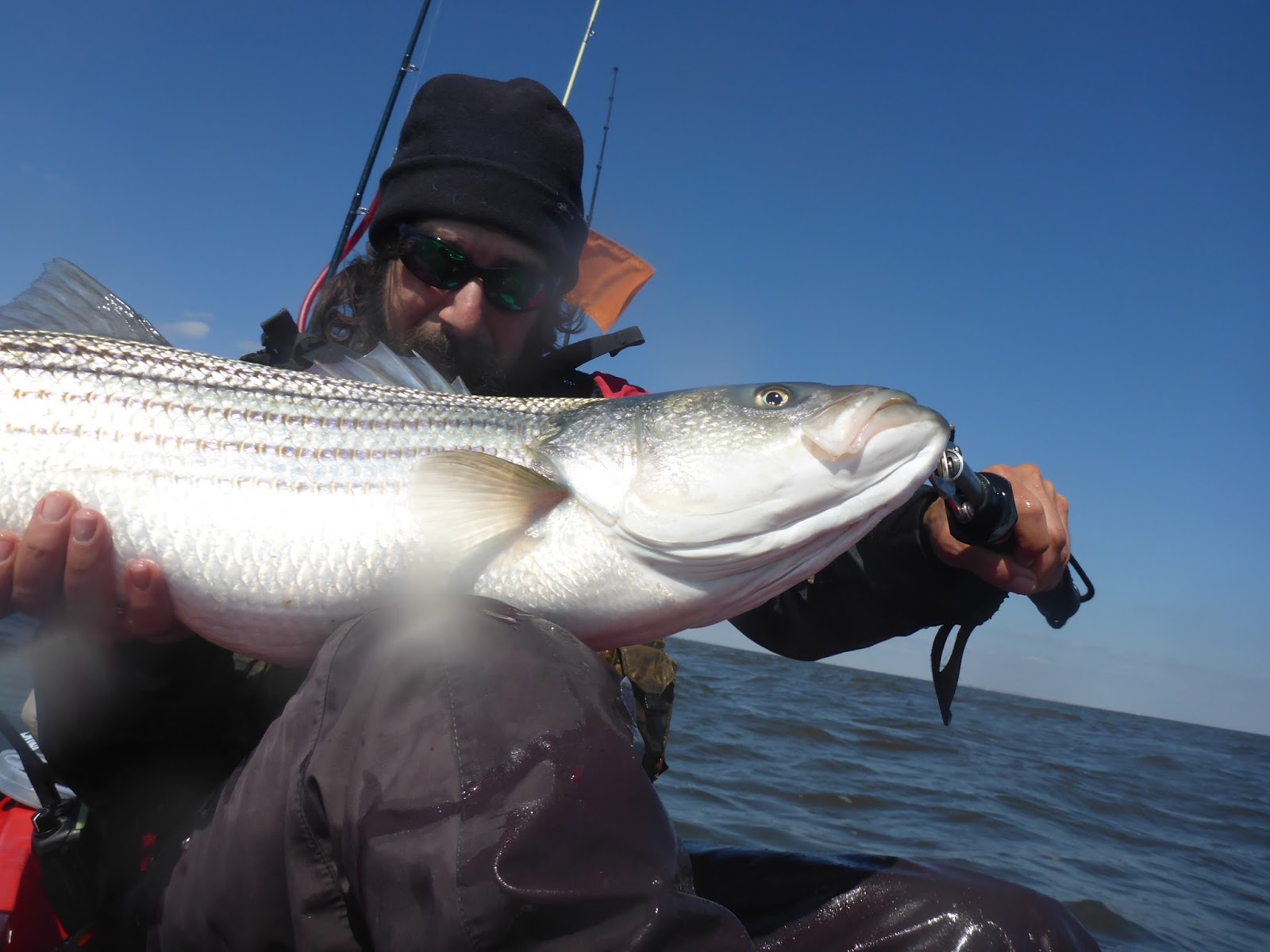 new jersey fishing report fishing new jersey NJ fishing fishing
