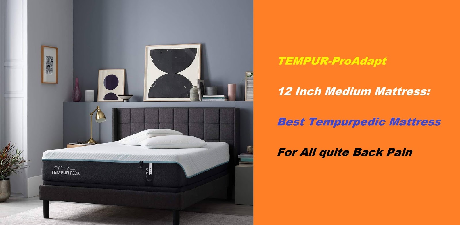 Best Tempurpedic Mattress For Back Pain