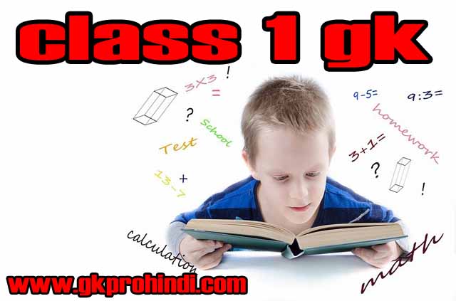 gk questions for class 1 gk pro hindi