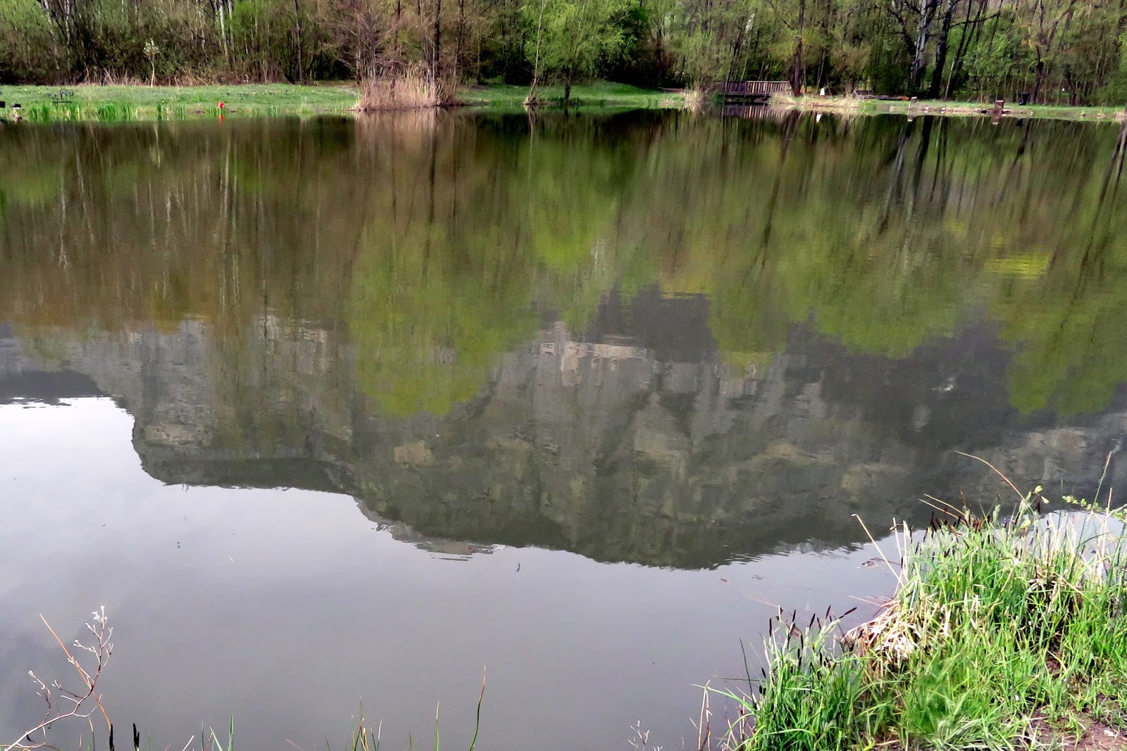 trekking de bernard Des grenouilles et le temps se brouille