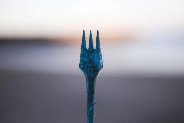 beach clean up