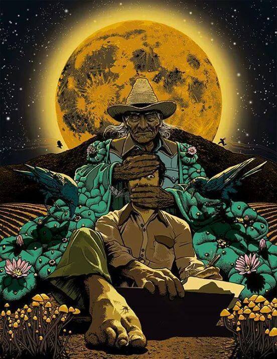 Quizás en un mañana... Breve historia huichol del Peyote.