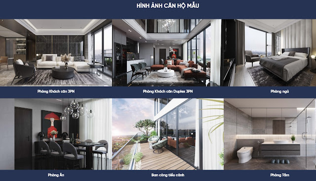 thiết kế giá bán căn hộ dự án chung cư Sunshine Green Iconic Phúc Đồng Long Biên Hà Nội