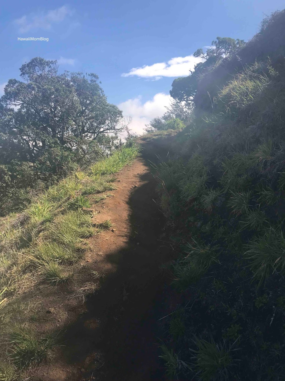kipuka hulu