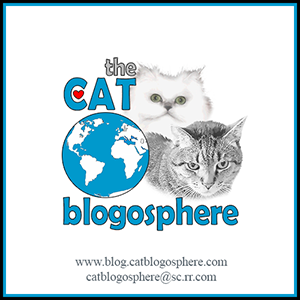 Cat Blogosphere