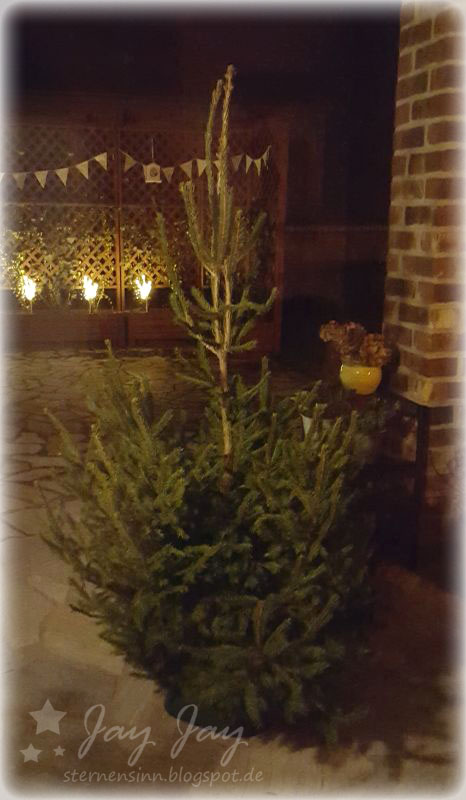 Buchen Kurt Viebranz Verlag