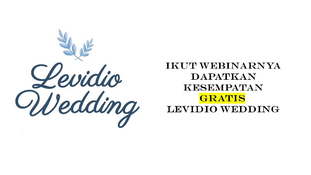 download levidio ppt download levidio ppt
