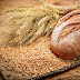 هل يؤدي تناول خبز الحنطة إلى السمنة؟