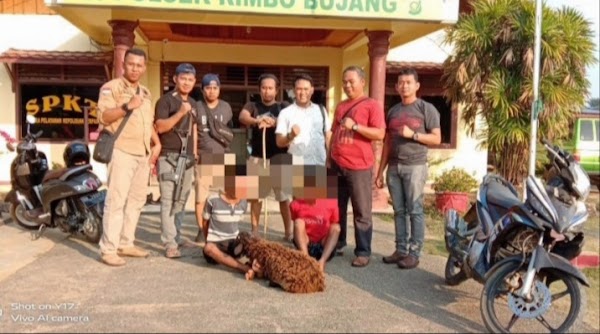 Polsek Rimbo Bujang Tangkap Begal Dan Pencuri Ternak Polsek Rimbo Bujang Tangkap Begal Dan Pencuri Ternak