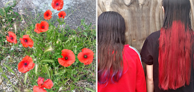Poppies in my front garden and my girls newly dyed hair.