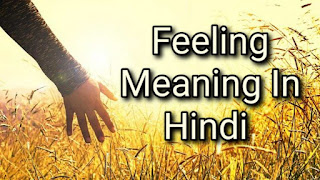 Feeling Meaning In Hindi