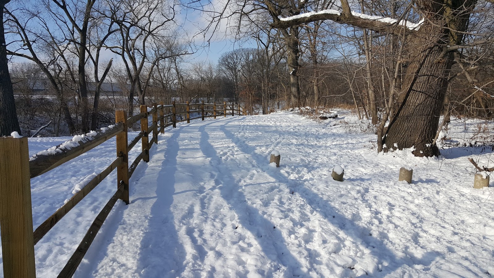 The Chicago Real Estate Local: Sold! Clients win mutiple offer for Forest Glen double-lot house