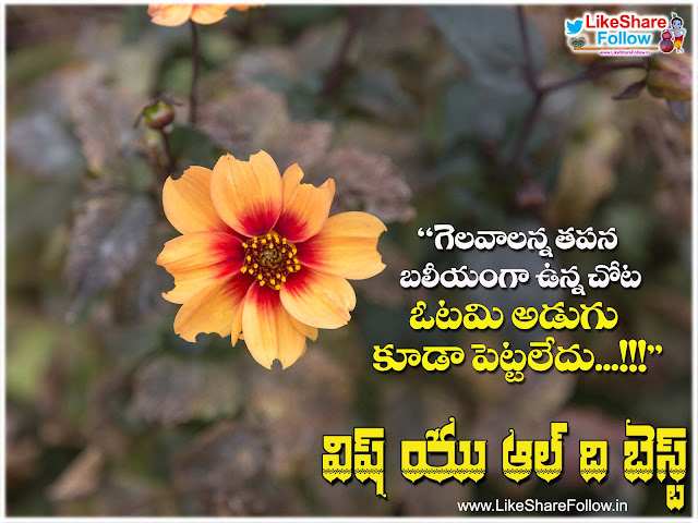 Wish-you-all-the-best-quotes-wishes-greetings-in-telugu Wish you all the best quotes wishes greetings in telugu