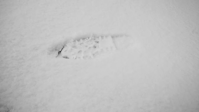 雪に残った足跡