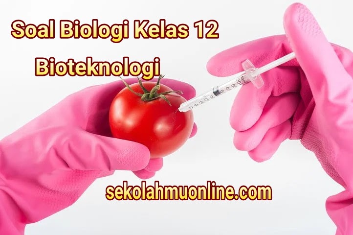 Soal biologi bioteknologi