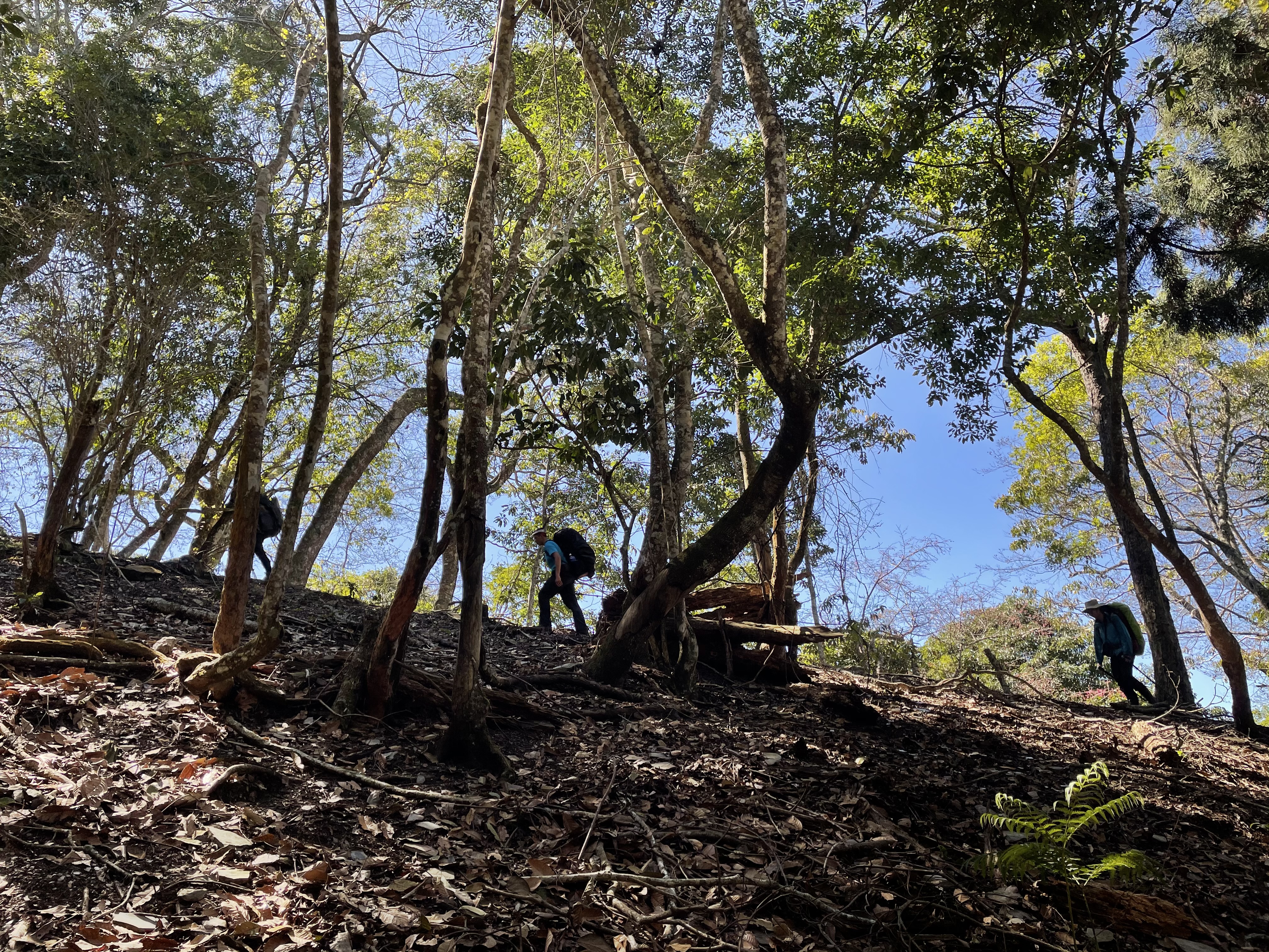 加年端山登山路線上的一行登山客