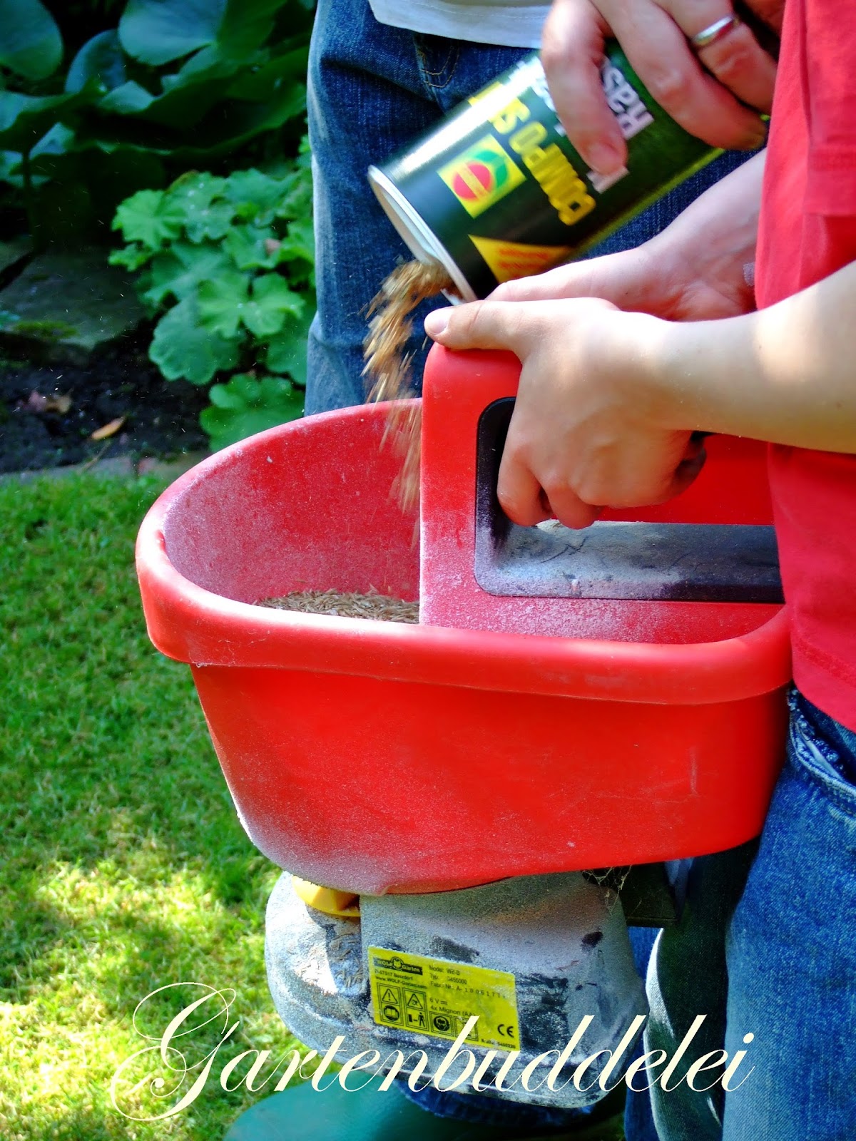 Gartenbuddelei: Rasenpflege