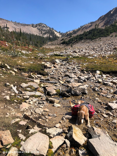 Backpacking the Alice Toxaway Loop & More, Sawtooth Mountains