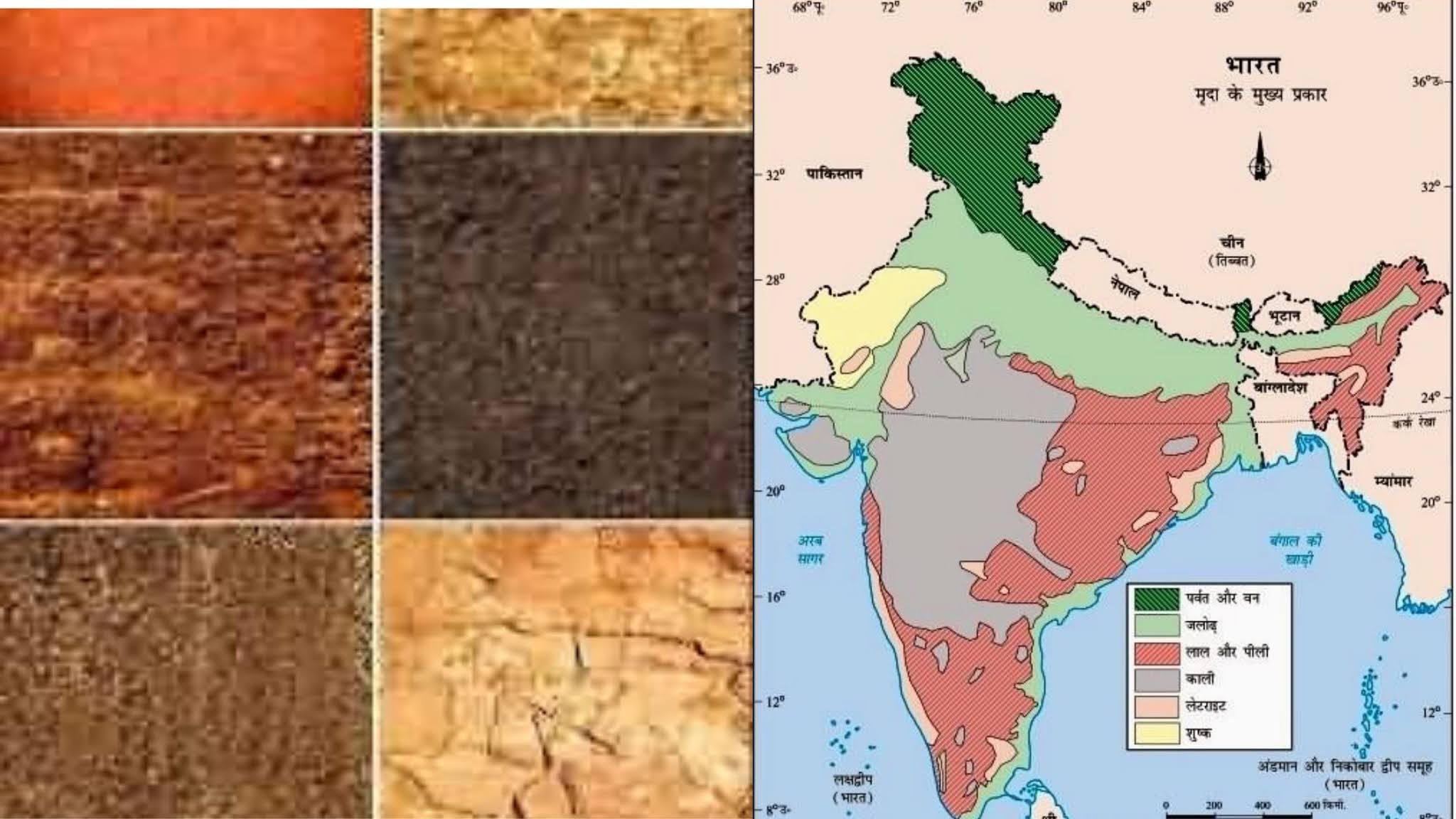 भारत में पाई जाने वाली मिट्टी और उनमें होने वाली प्रमुख फसलें