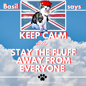 Basil Says Keep Calm and Stay The Fluff Away From Everyone ©BionicBasil®