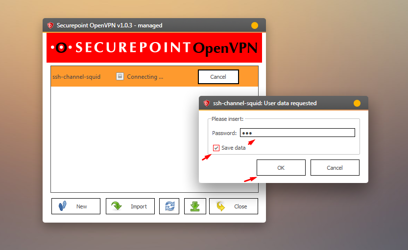 Сайт открытых vpn. Open VPN для ПК. Ключ для open VPN 01.08.2022. Опен впн восстановить ключ. Loadpoint Curepoint.