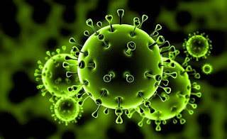 How To Survive Corona Virus, করোনা ভাইরাস