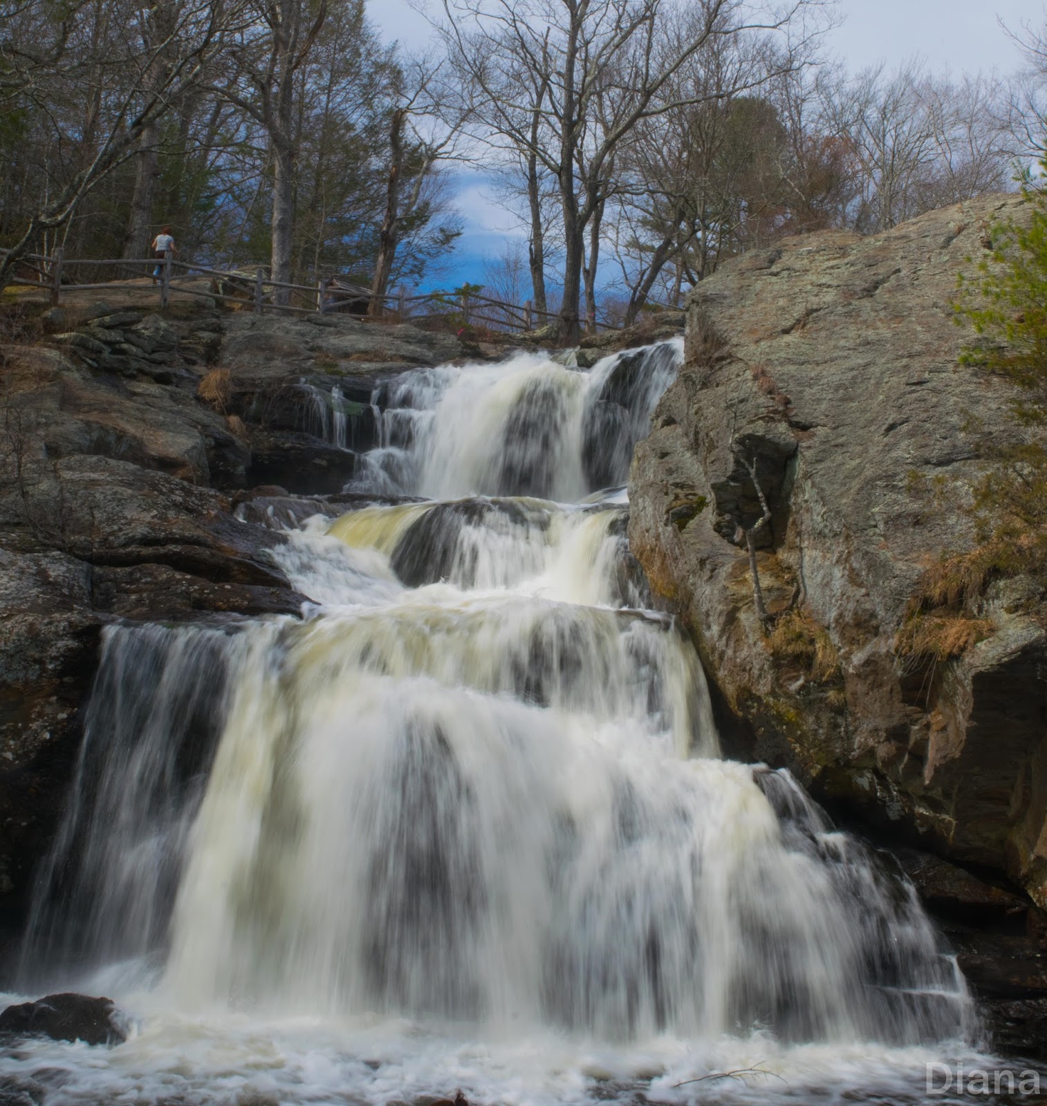 Diana’s Little Corner in the Nutmeg State Photo Shoot Monday