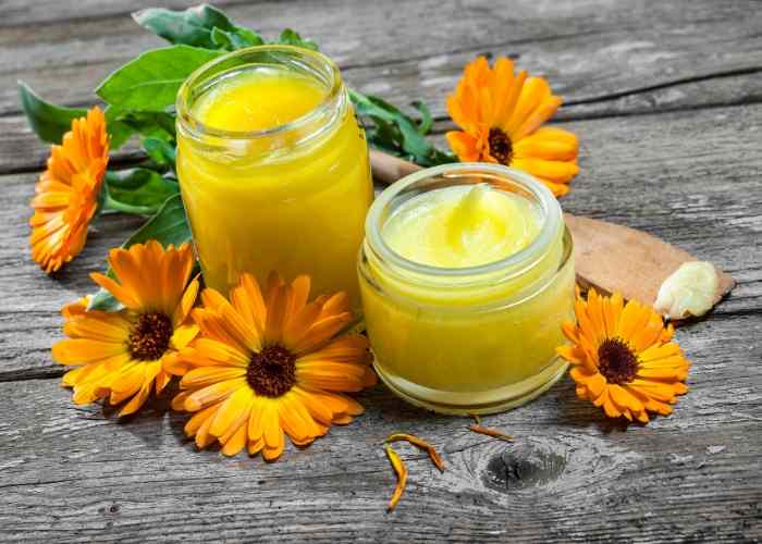 How to Make Calendula Salve With Coconut Oil and Essential Oils