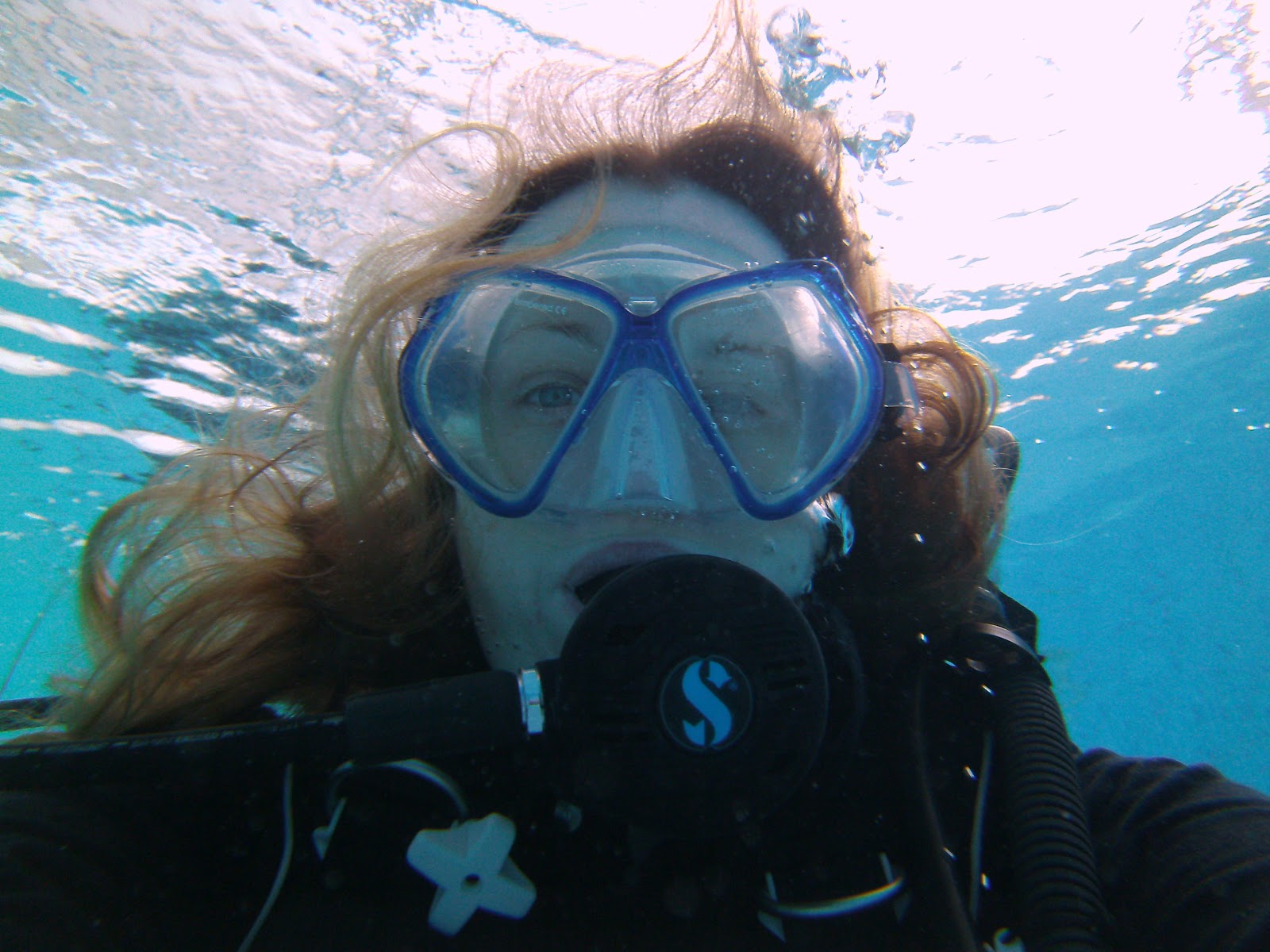 Fat on the inside A scuba diving bandster!!!