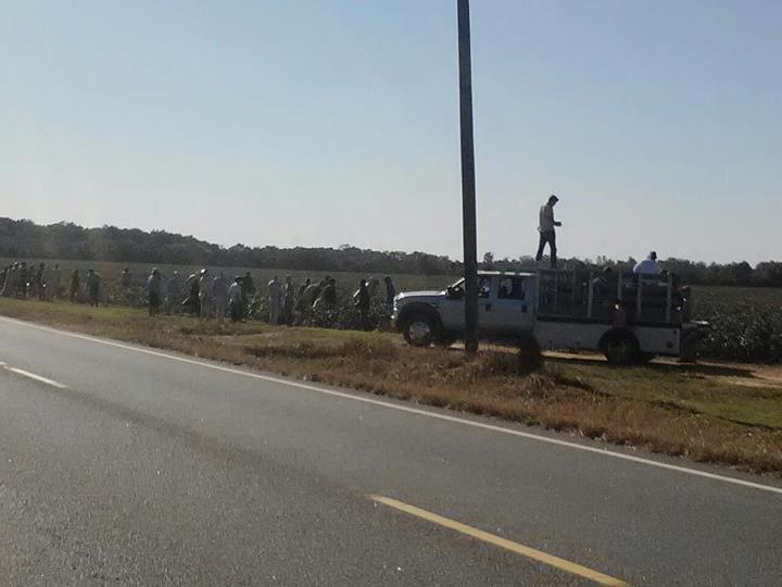 District 11 Set Pics for Catching Fire Get a Glimpse of Thresh and
