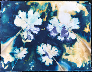 Wet cyanotype -Sue Reno_Image 639