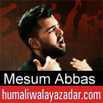 https://www.humaliwalayazadar.com/2018/03/mesum-abbas-nohay-2019.html