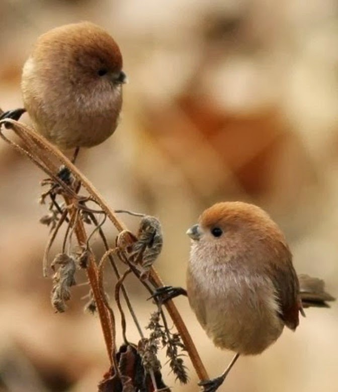 4대천왕.JPG | 인스티즈