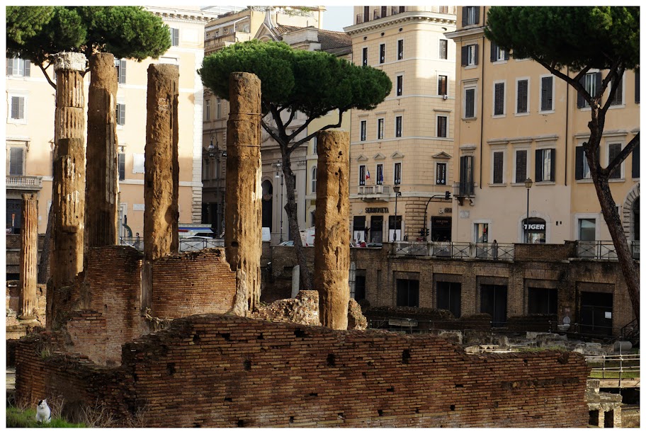 CERGIPONTIN La Curie de Pompée The Curia of Pompey