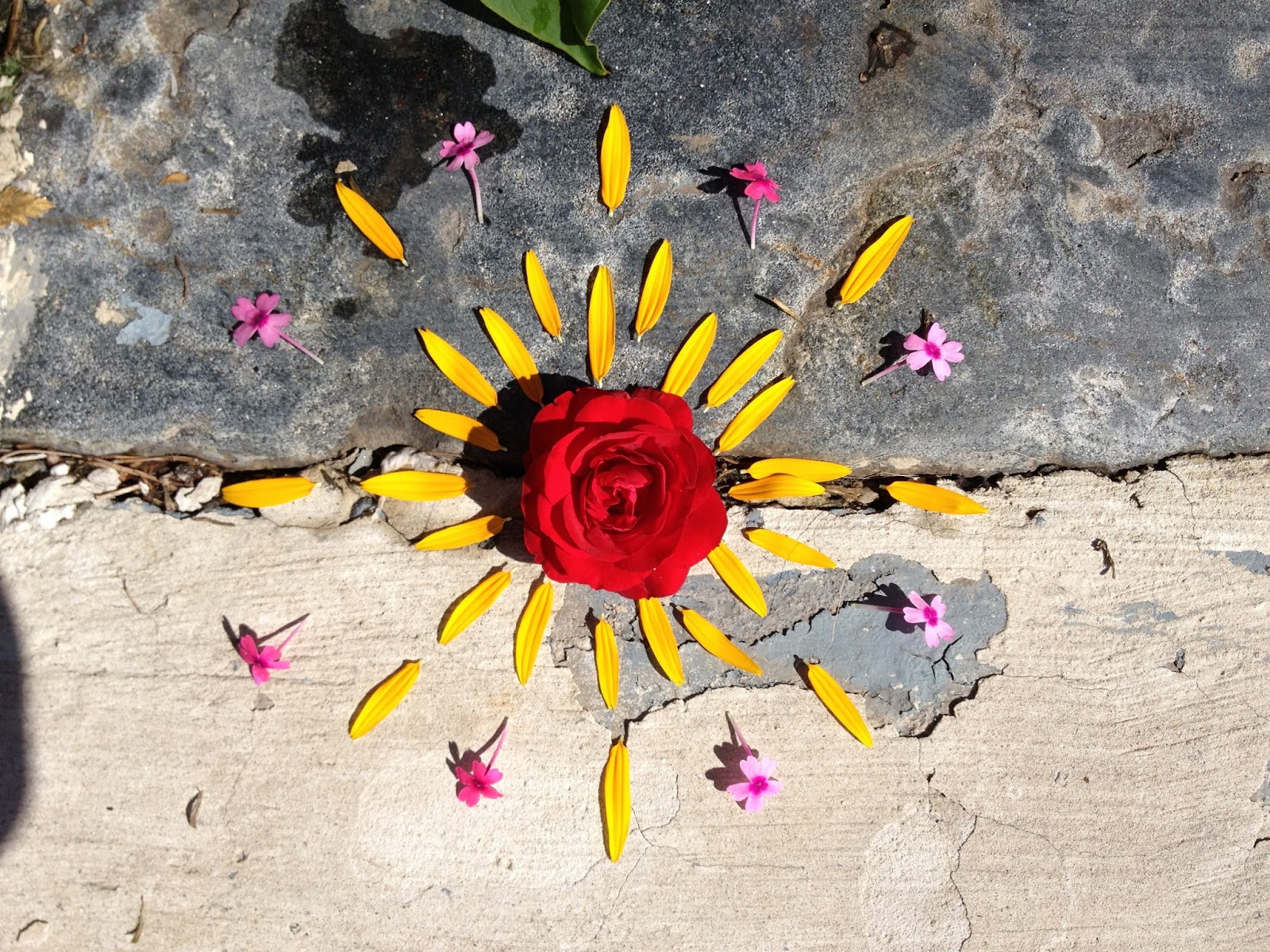 River City Art * Collinsville: Kids Nature Mandalas