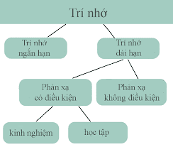 [Image: ph%25C3%25A2n%2Blo%25E1%25BA%25A1i%2Btri...B%259B.png]