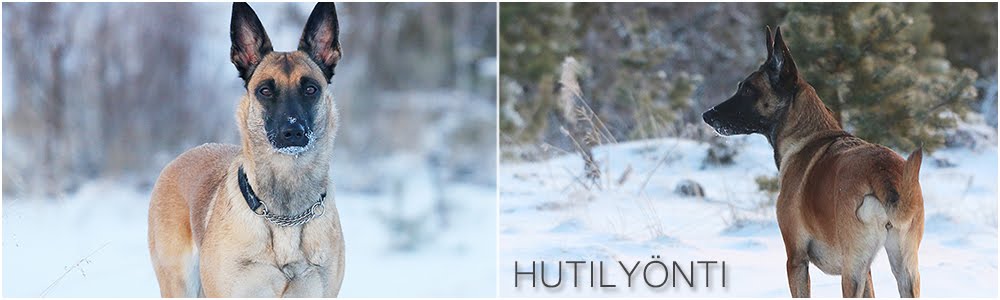 Hutilyönti