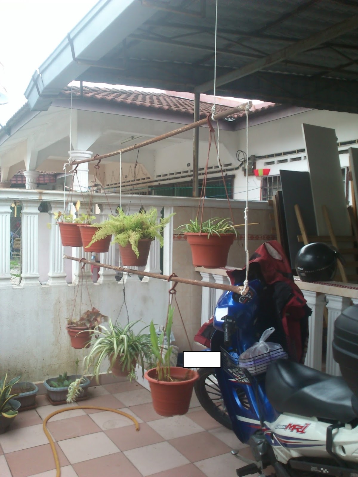 Blog Han: Rumah Kesayangan : Pokok Gantung