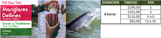 Manglares y delfines tour en ecuador