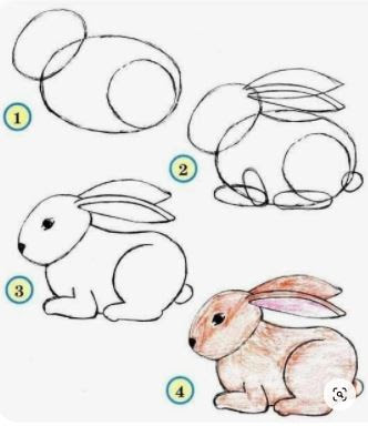 Pasos a pasos para dibujar animales - Como dibujar animales - How to