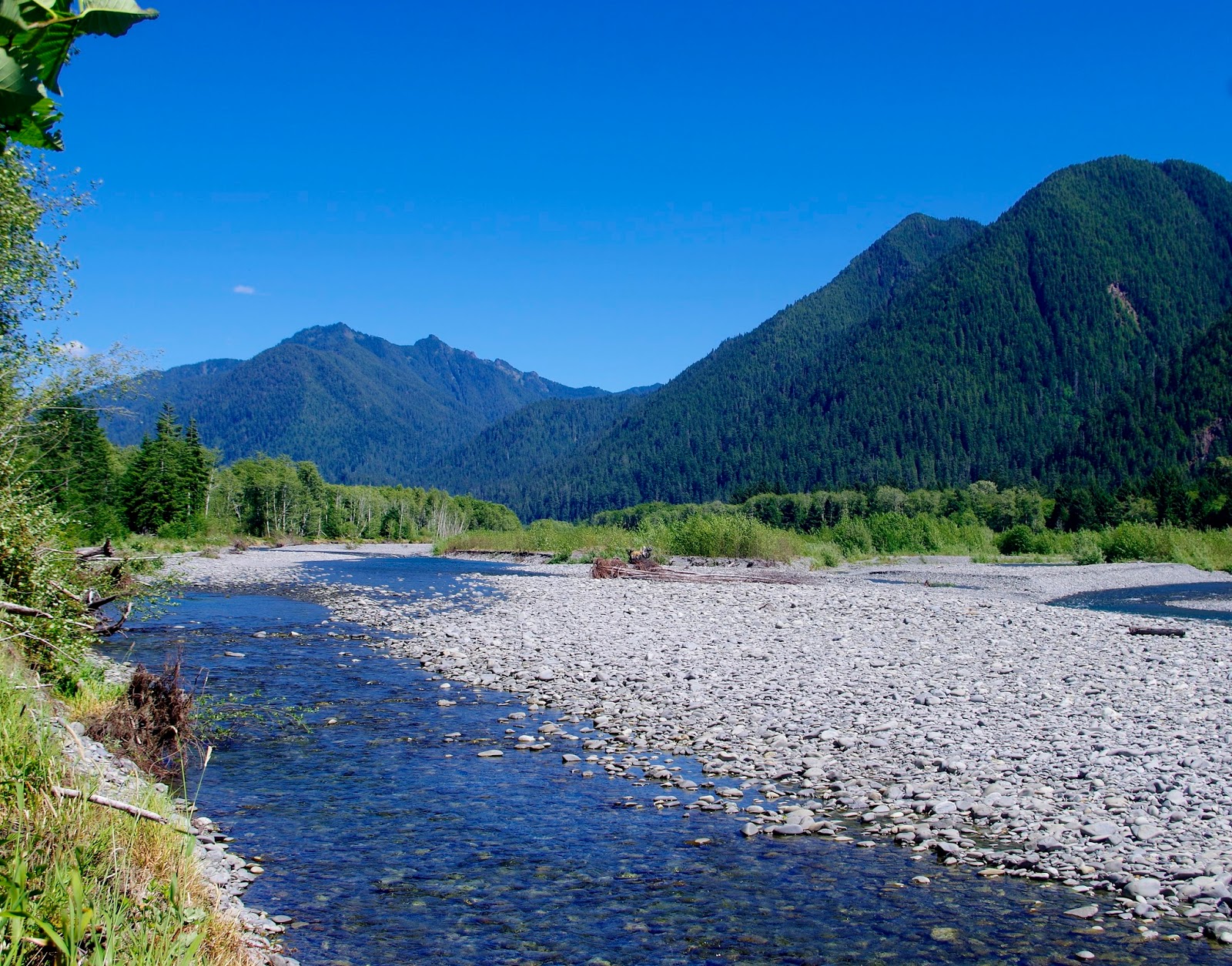 Pacific Northwest Seasons Saving Olympic Peninsula Salmon Upper