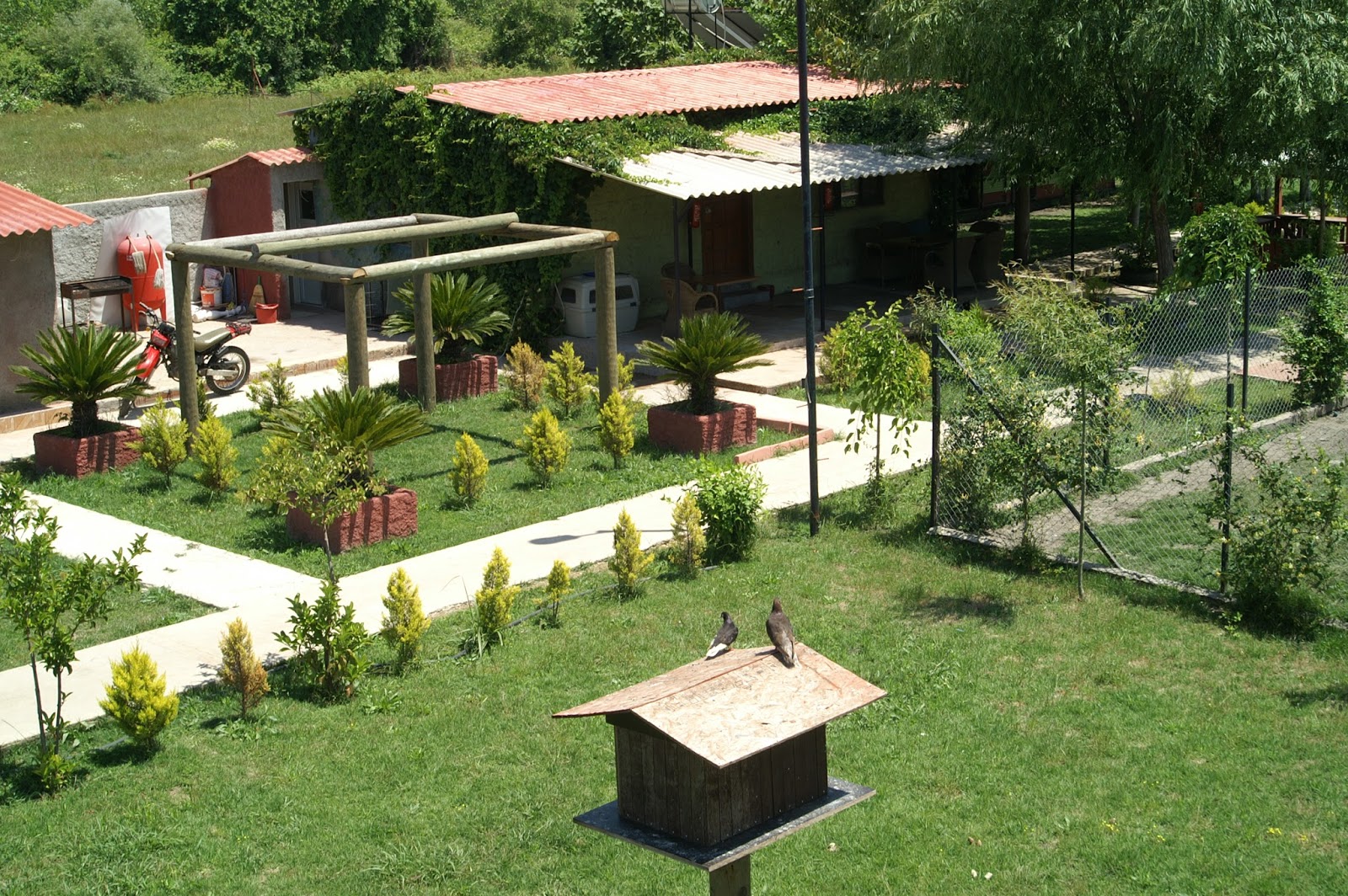 antalya köpek oteli