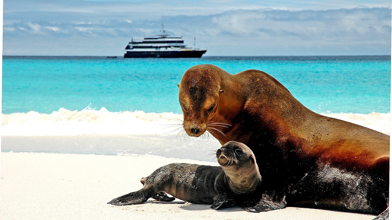 National Geographic Galapagos Tour Tour Choices
