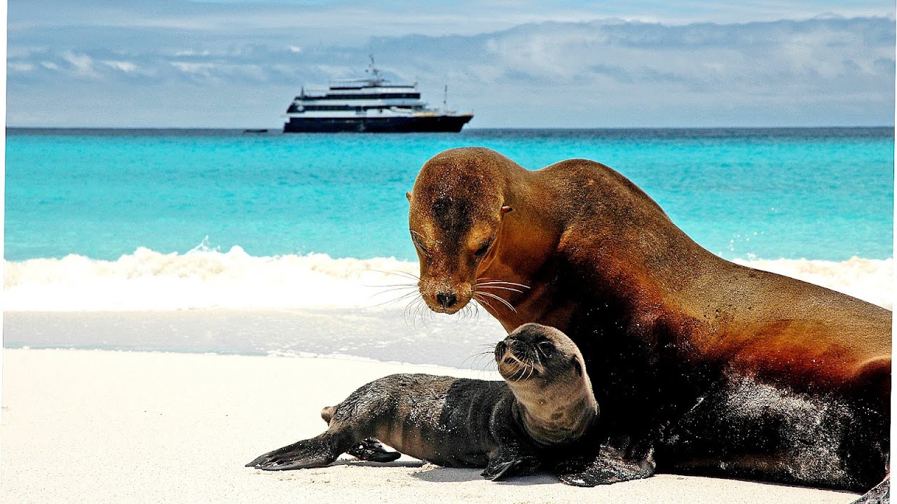 National Geographic Galapagos Tour Tour Choices